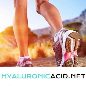 Hyaluronic Acid Knee Detail